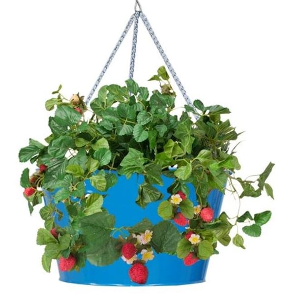 Houston International Trading Houston International Trading 8495E B Enameled Galvanized Hanging Strawberry & Flower Planter; Blue 8495E B - main